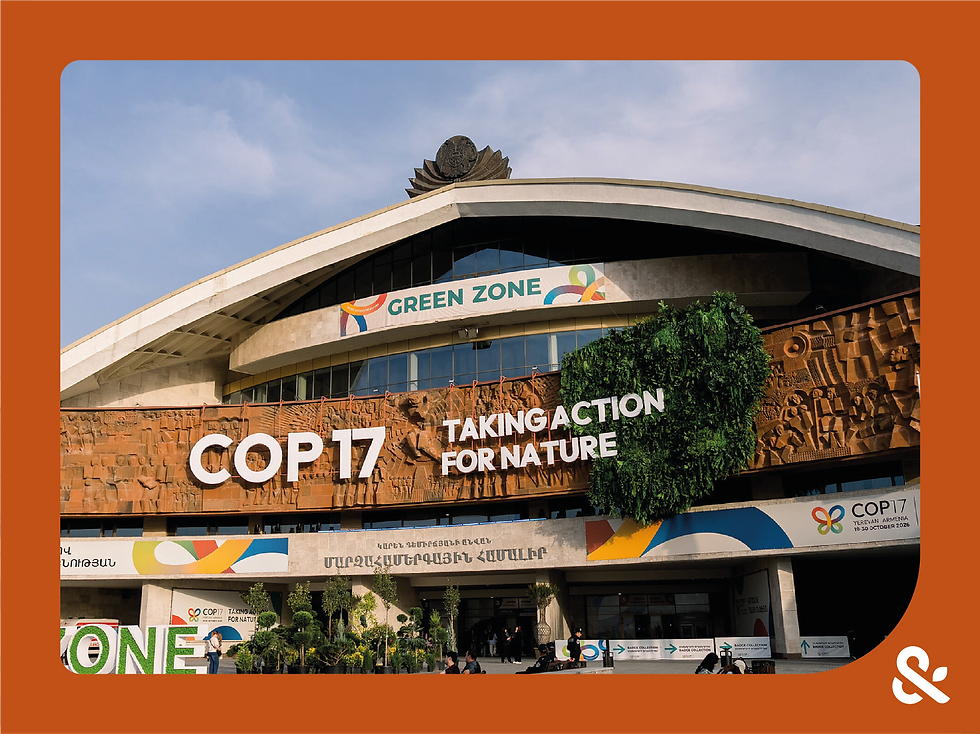 Os principais destaques da primeira semana da COP17
