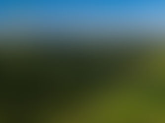 Materialidade financeira da biodiversidade: a natureza já entrou na conta