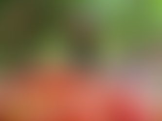 Como transformar a Repartição de Benefícios em estratégia de impacto real