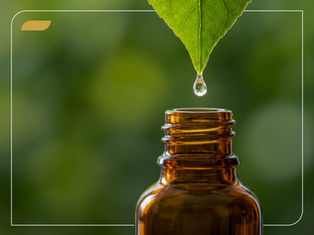 Bioeconomia e inovação: oportunidades para o setor cosmético
