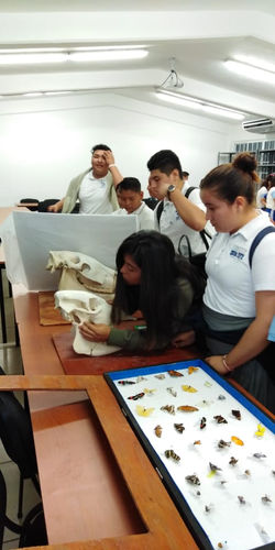 Osteotecnia & Entomología