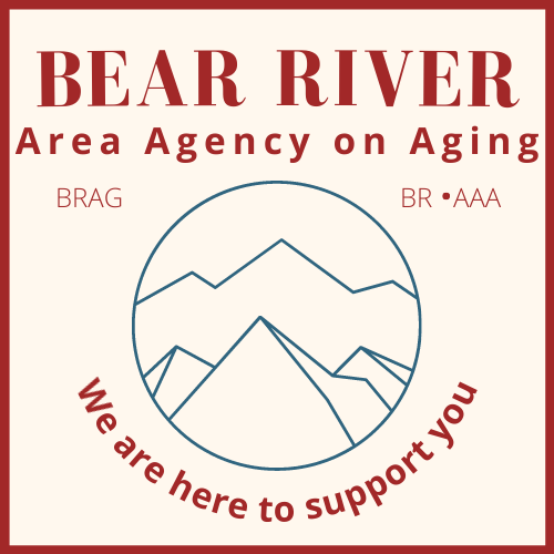 www.bearriveraging.org