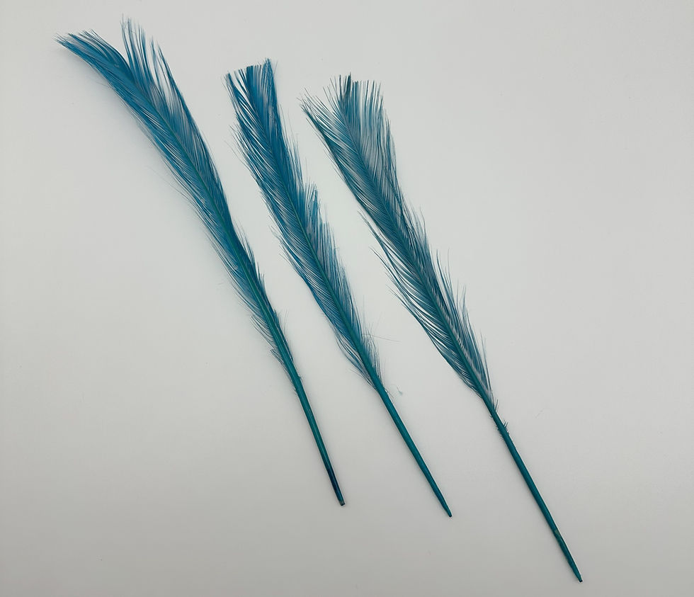 Thumbnail: Burnt Turkey Quills (Parried) – 12" to 14" - Vivid Colors