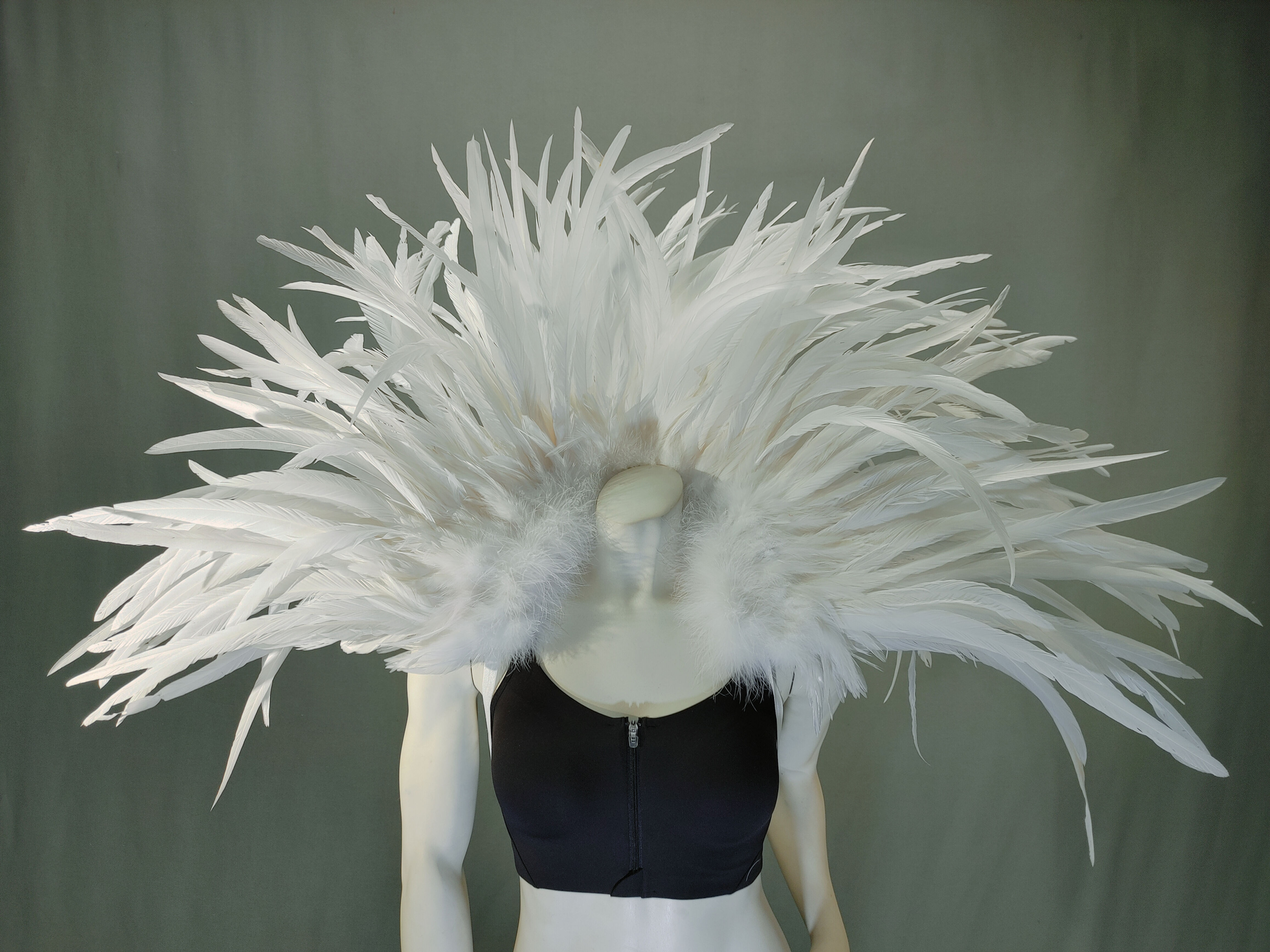 White Rooster Collar