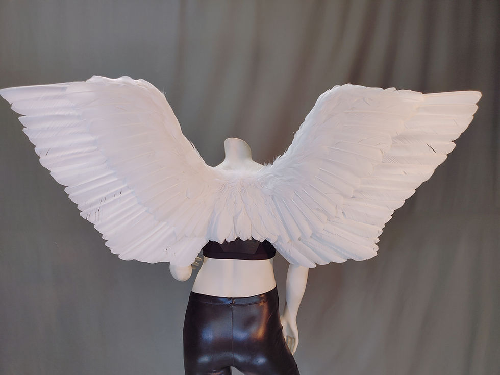 Thumbnail: "B" Style Wing