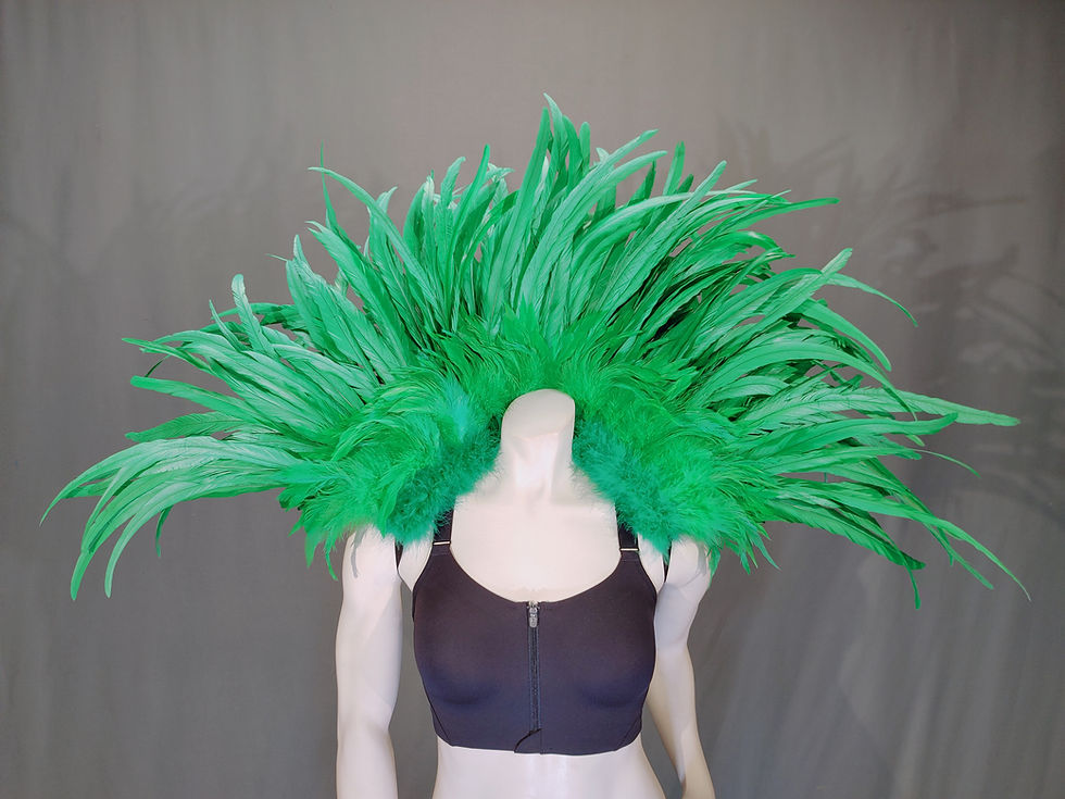 Thumbnail: Color Rooster Collar