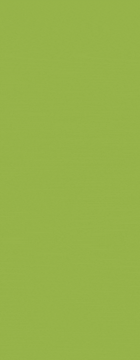 New EBnet Skyscraper Banner 2021.gif