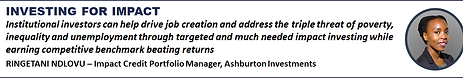 Topic Ashburton Ringetani Ndlovu.png