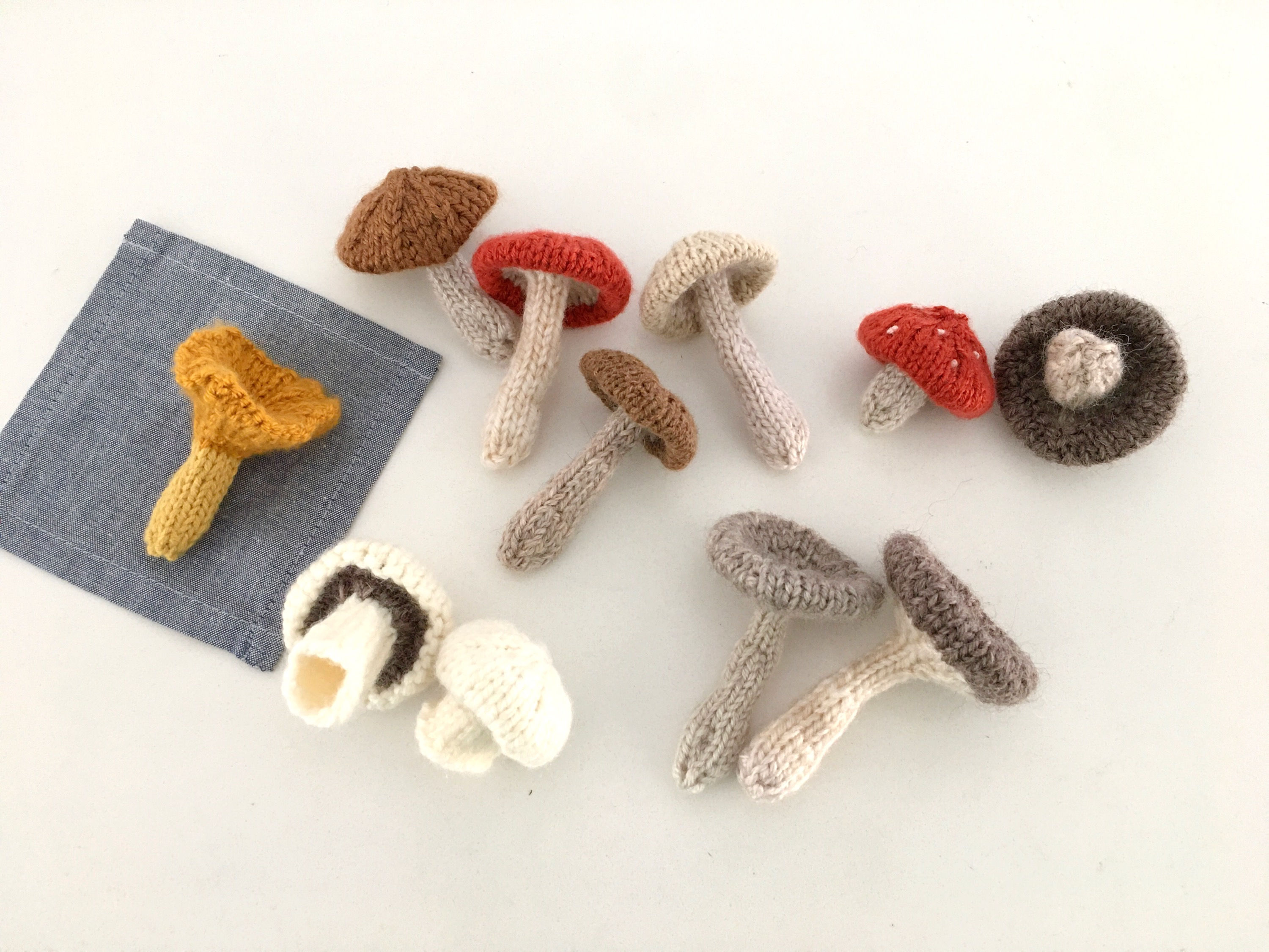 Mushroom Party 1