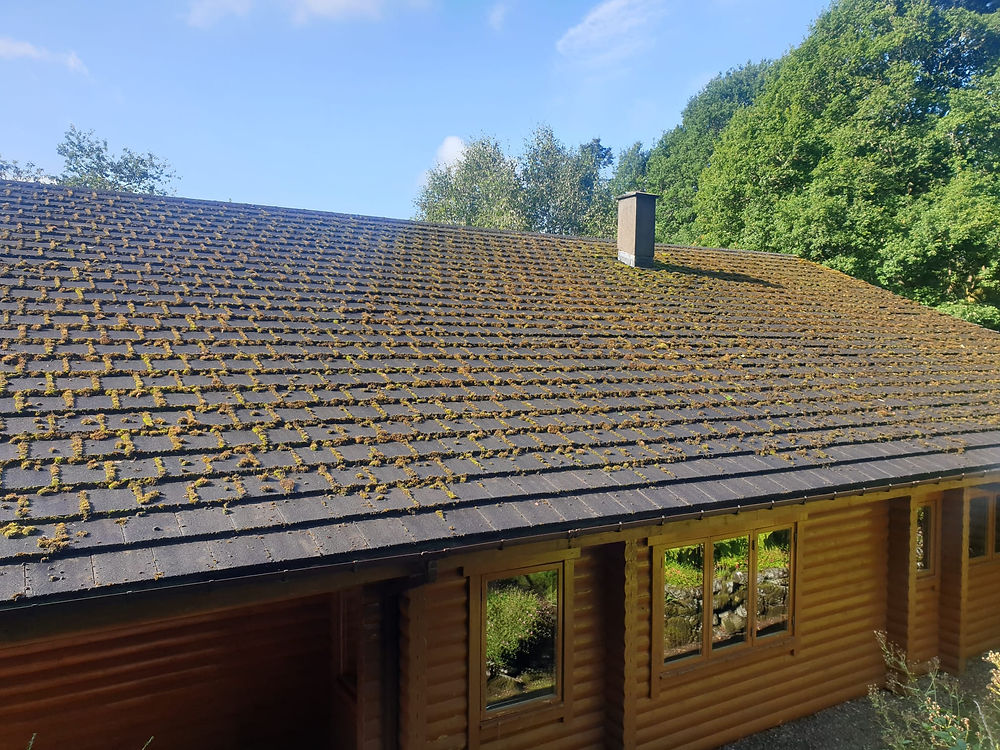 Luxury Log Cabin, Central Scotland - before cleaned