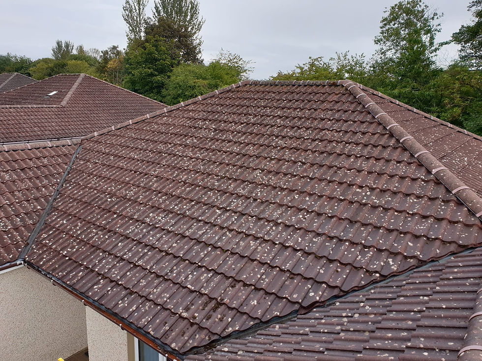 Before picture of dirty roof