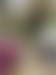 What could it be?!