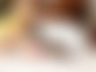 My dog the hero, the legend