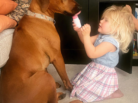 CHEERS !!

Happy weekend everyone ☀️