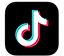 TikTok Logo