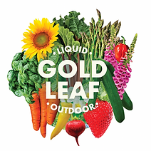Liquid Gold Leaf fertiliser