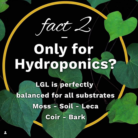 Liquid Gold Leaf Indoor Plant Feed