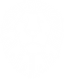 white lion.png