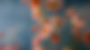 Untitled.jpg