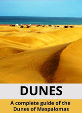Maspalomas Dunes for gay travelers