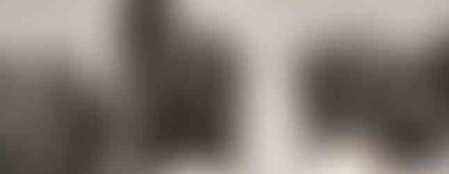 Scandals Canarias, sexshop at the Cita Shopping Centre