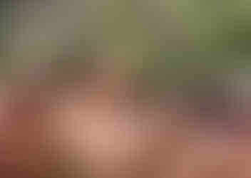 Everything to Sea, exclusive gay weeks in private villas