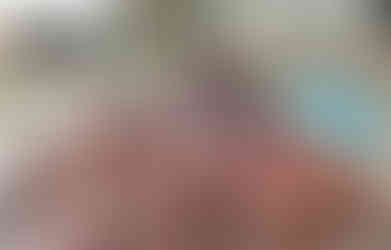 Everything to Sea, exclusive gay weeks in private villas