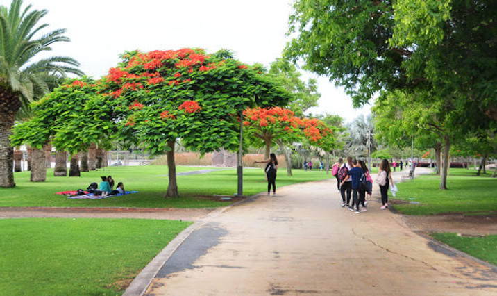 Parque Sur Maspalomas