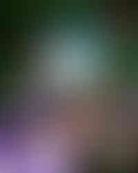 Rainbow Room, Maspalomas gay bar, Cocktails & Kitchen, live shows and games