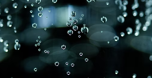 a bunch of bubbles are floating in the water