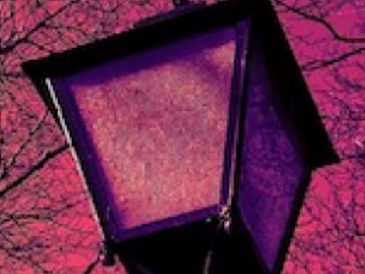 RÉVERBÈRES DU PARC