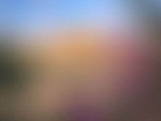 1187年以来、閉鎖されたままの神殿山の東門。再び開かれることはあるのでしょうか?