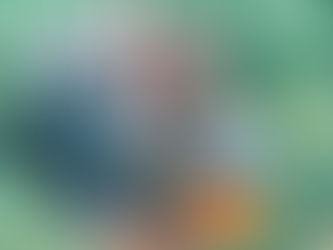 親愛なる友よ、今日(水曜の夜)からTu BiShvatのお祝いを始めます