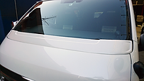 Wiper cover