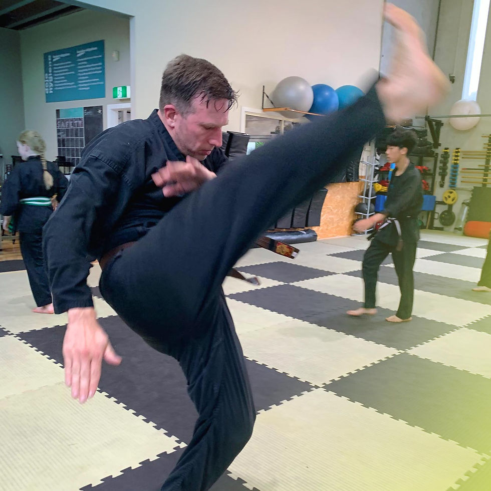 Issei Ryu Bujutsu
