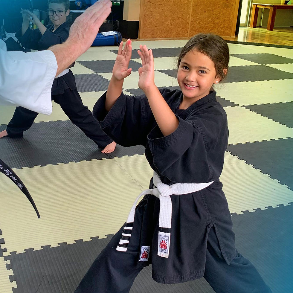 Martial Journey Karate Kid