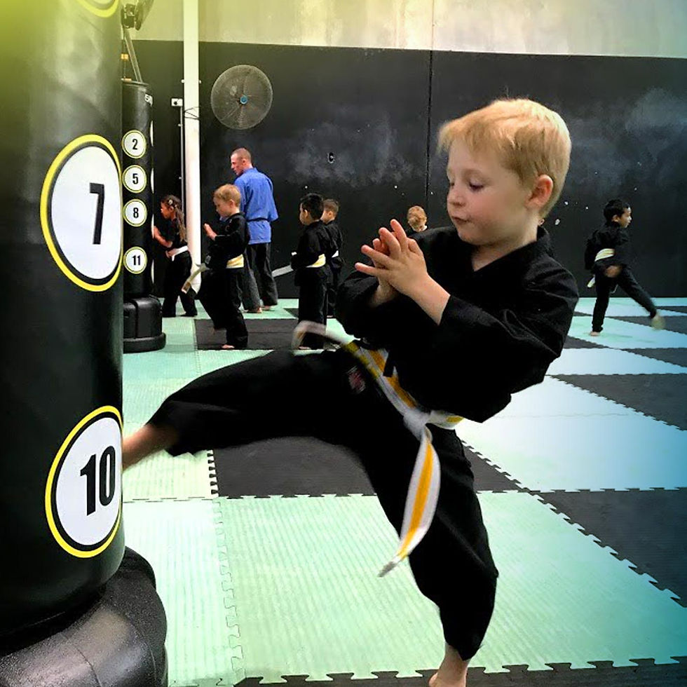 Martial Journey Micro Ninjas