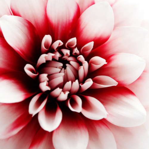 e16707d-8ac4-1dc6-4edd-c760e612cd_6.png