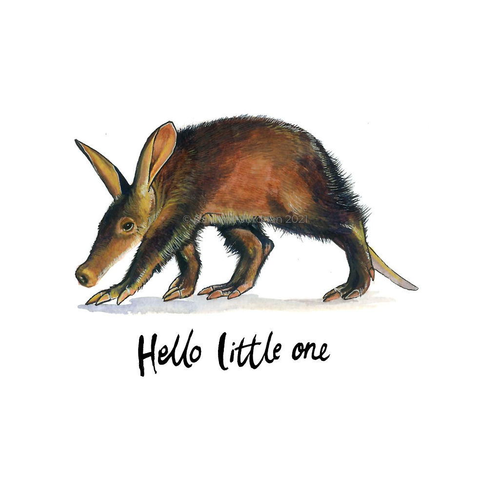 African wildlife, watercolor, art, wildlife card, new baby card, aardvark, Curious Creations
