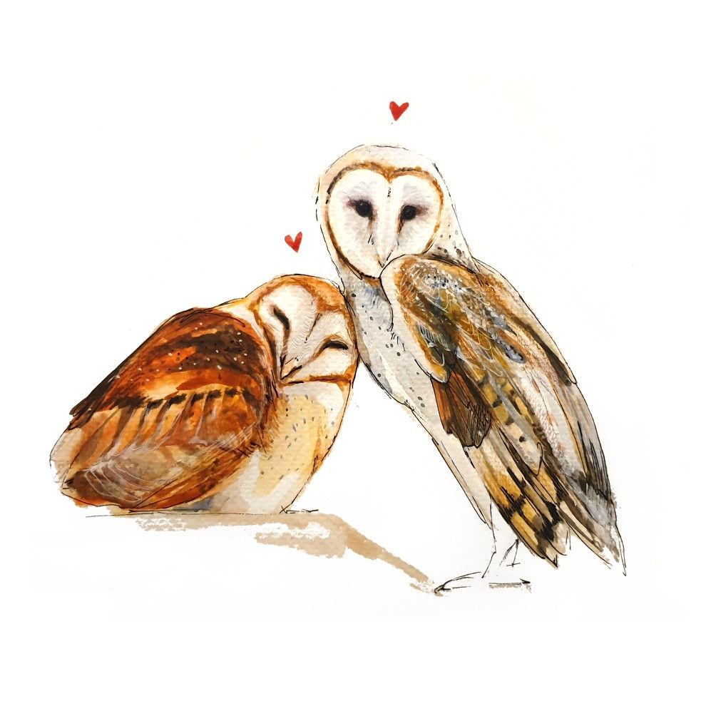 Barn Owl drawing, cute barn owl, Owl birthday card, Owl Card, love, watercolor, Curious Creations, art