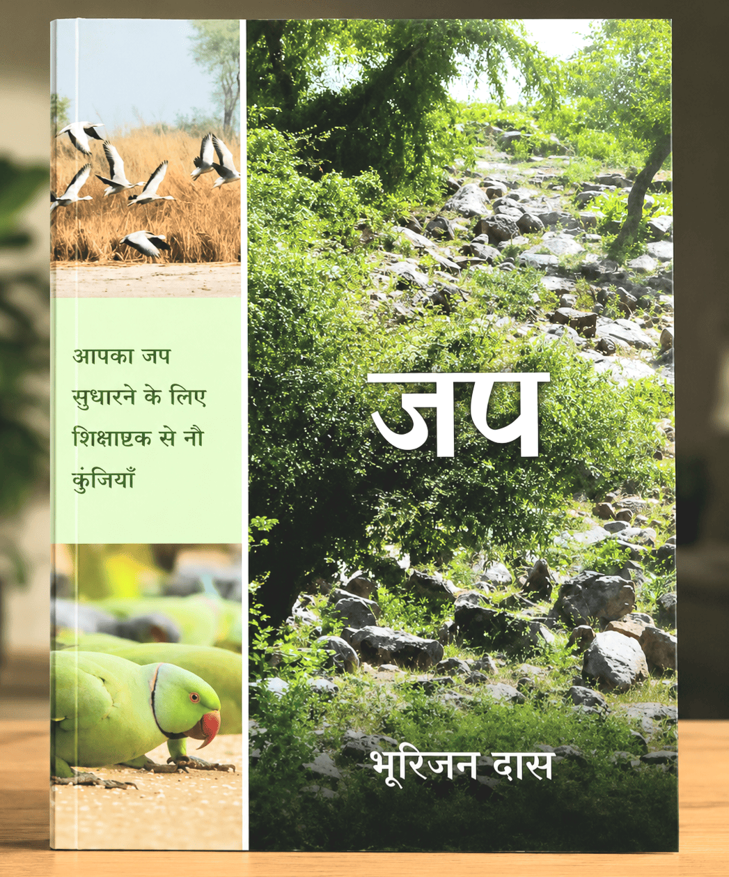 Japa Book (Hindi) Bhurijana Dasa