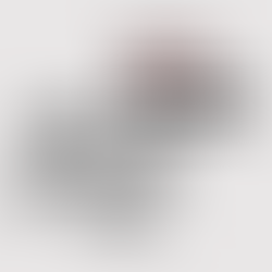 Isaura Dias Bittencourt