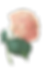 ピンクの花のイラスト2