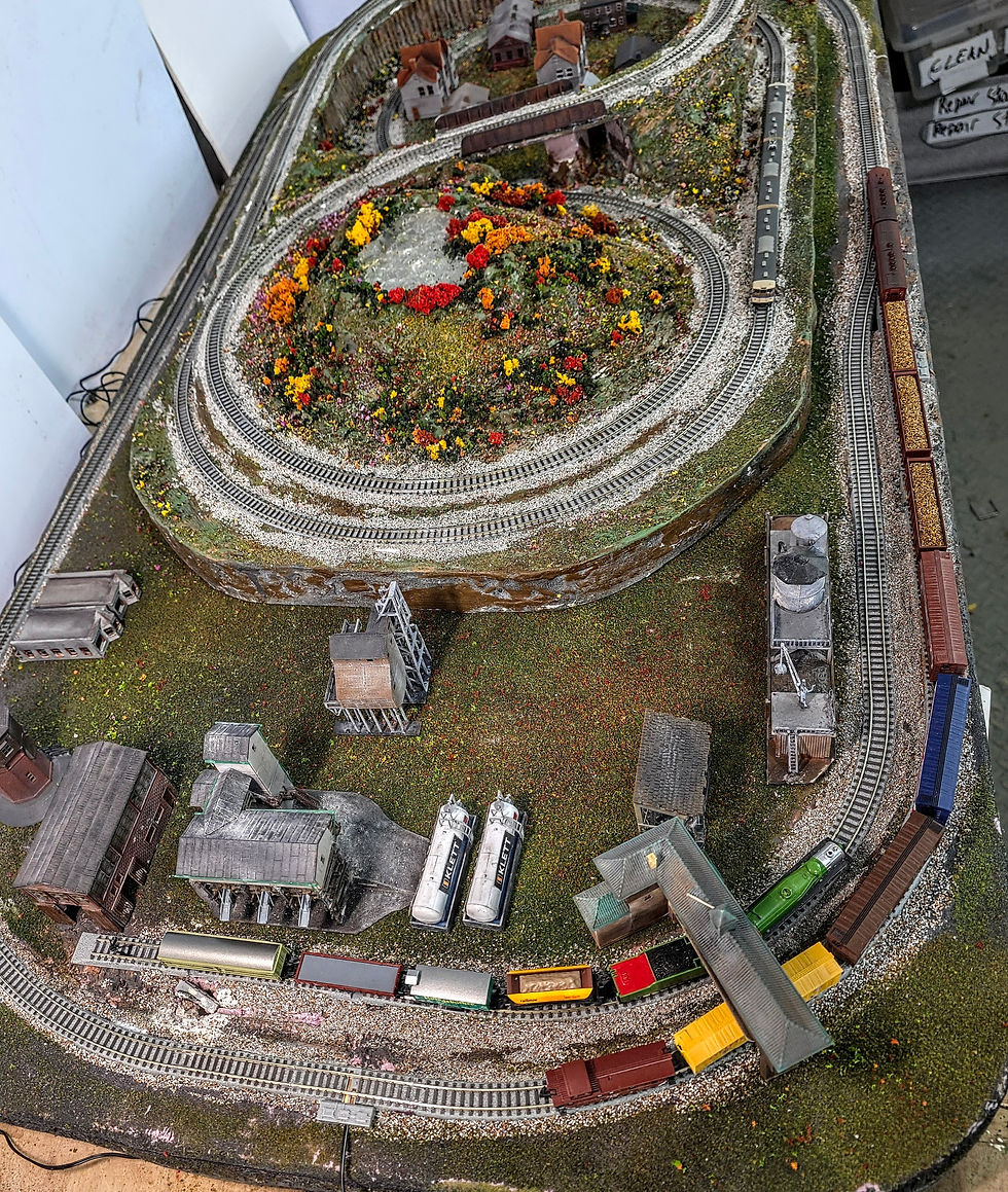 Thumbnail: Z5: Single Track Oval (48" x 24" - with siding)
