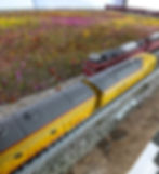 Thumbnail: Double Track Oval- (48" x 24" -195/220 mm)