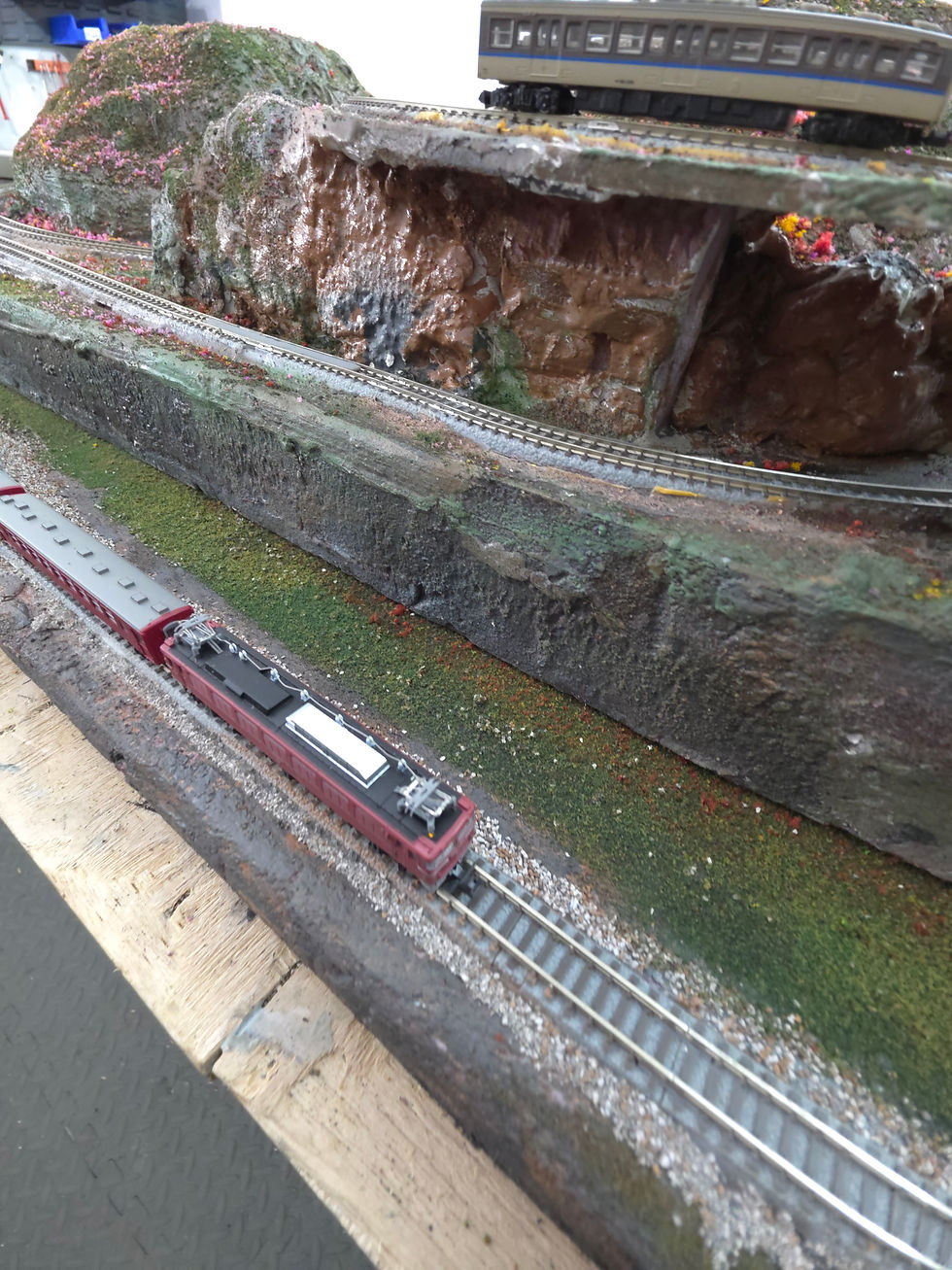 Thumbnail: Z5: Single Track Oval (48" x 24" - with siding)