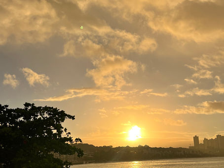✨ Na palma da mão