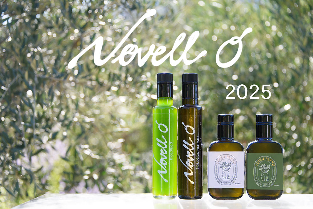 Novello 4 本 サイトトップ.jpeg