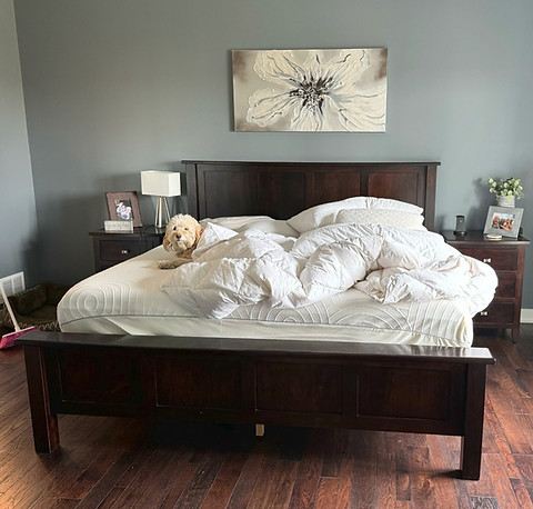 The image shows an unmade bed with a dog on it, taken at one of our client's homes in Fremont, NE, before we made the bed.