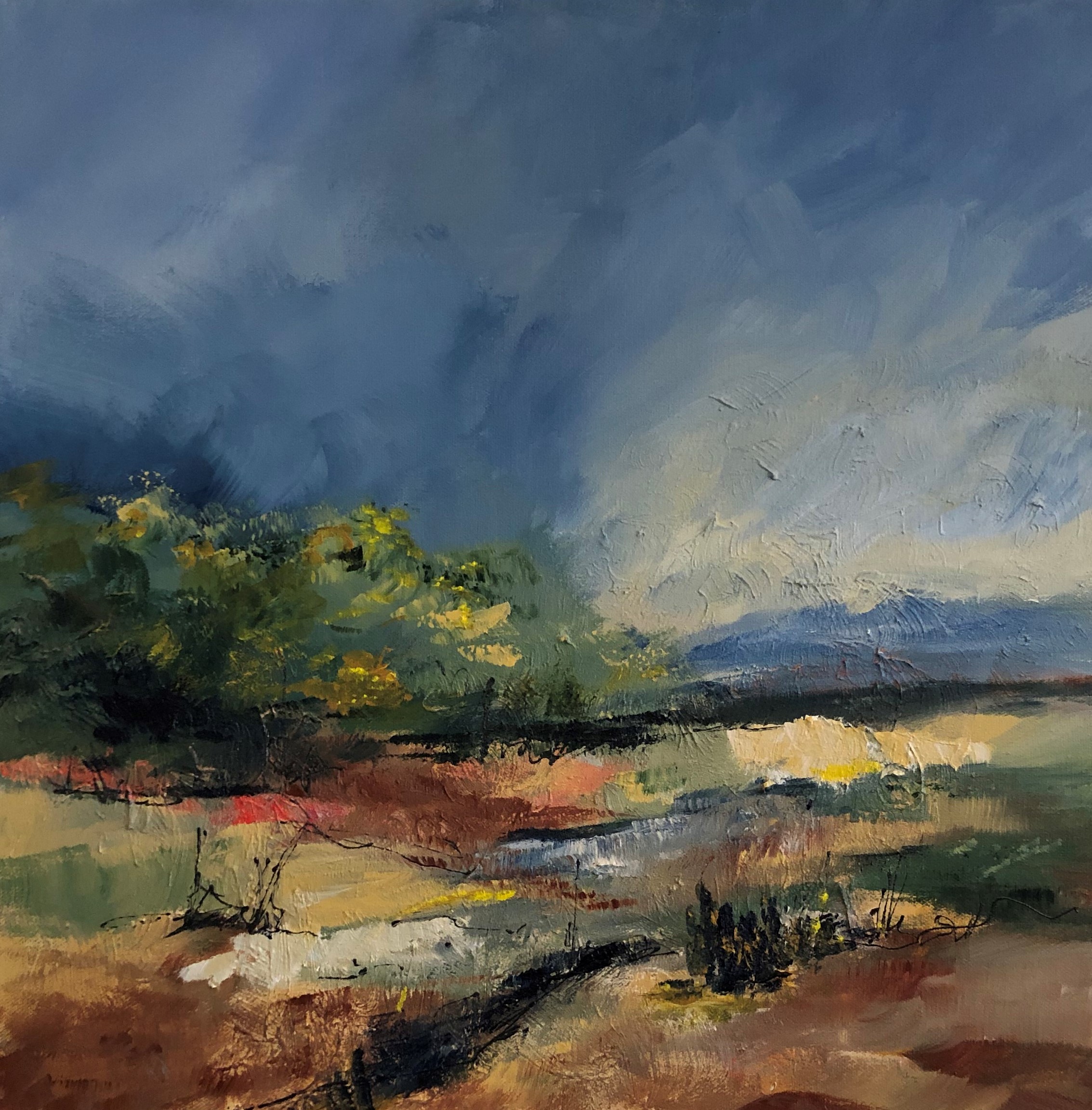 Desert Scape IX